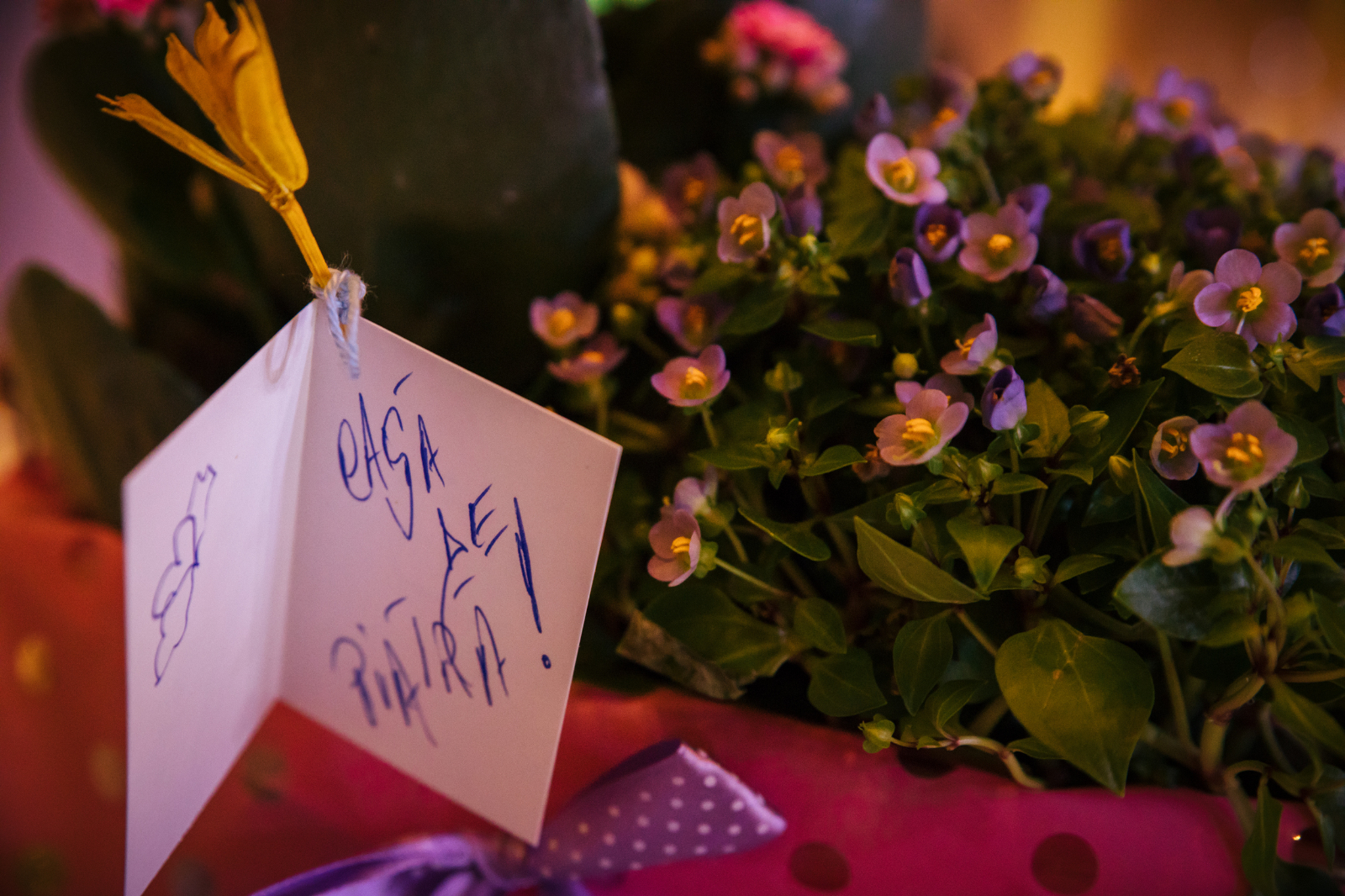 Nunta Flori si Sebi 1330